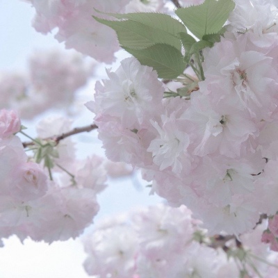 Furry数位板绘画教程兽圈群